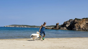 A Greek Summer