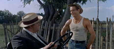 The Long, Hot Summer - Blu-Ray