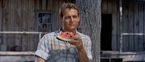 The Long, Hot Summer - Blu-Ray