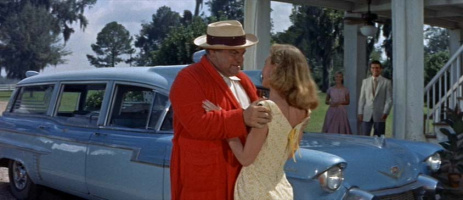 The Long, Hot Summer - Blu-Ray