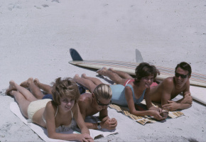 The Endless Summer - DVD