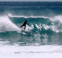 The Endless Summer - DVD