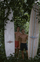 The Endless Summer - DVD