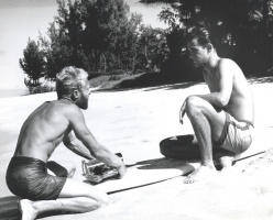 The Endless Summer - DVD