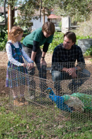 We're Buying a Zoo - Blu-Ray