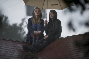 We're Buying a Zoo - Blu-Ray