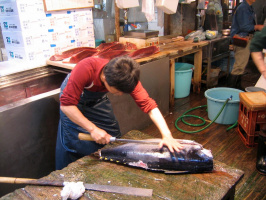 Sushi - The Global Catch