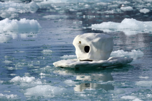 The Polar Bears - Aug in Aug mit den Eisbären - DVD