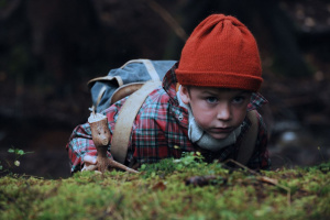 My Friend Twigson - DVD