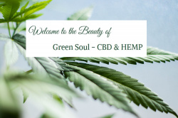 Green Soul - The first address for CBD products in Frankfurt 